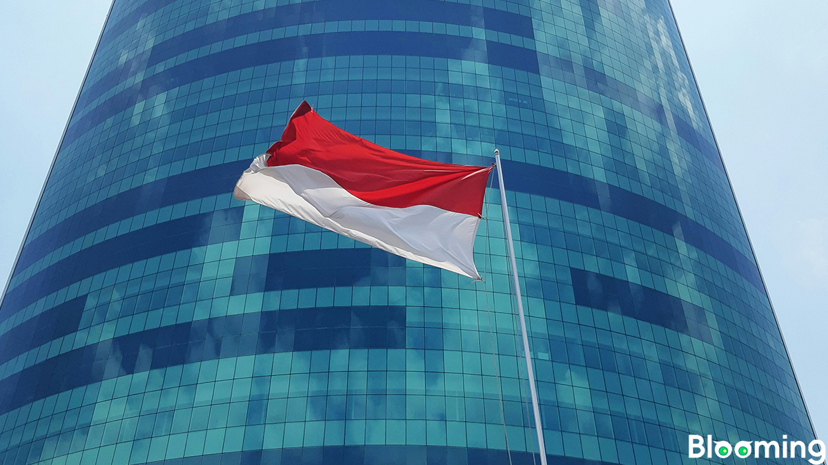 Indonesia Initiates Process to Join BRICS, Says Foreign Minister